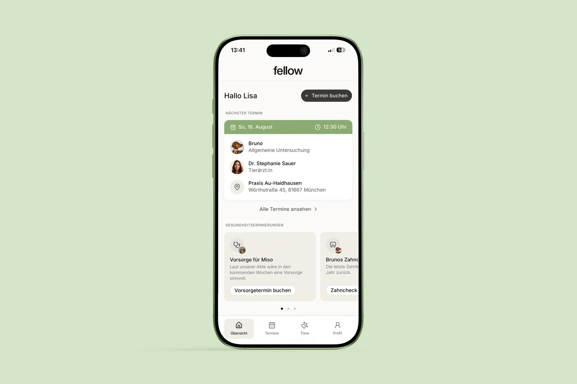 The portal on a phone: the next appointment, and the care reminders under it