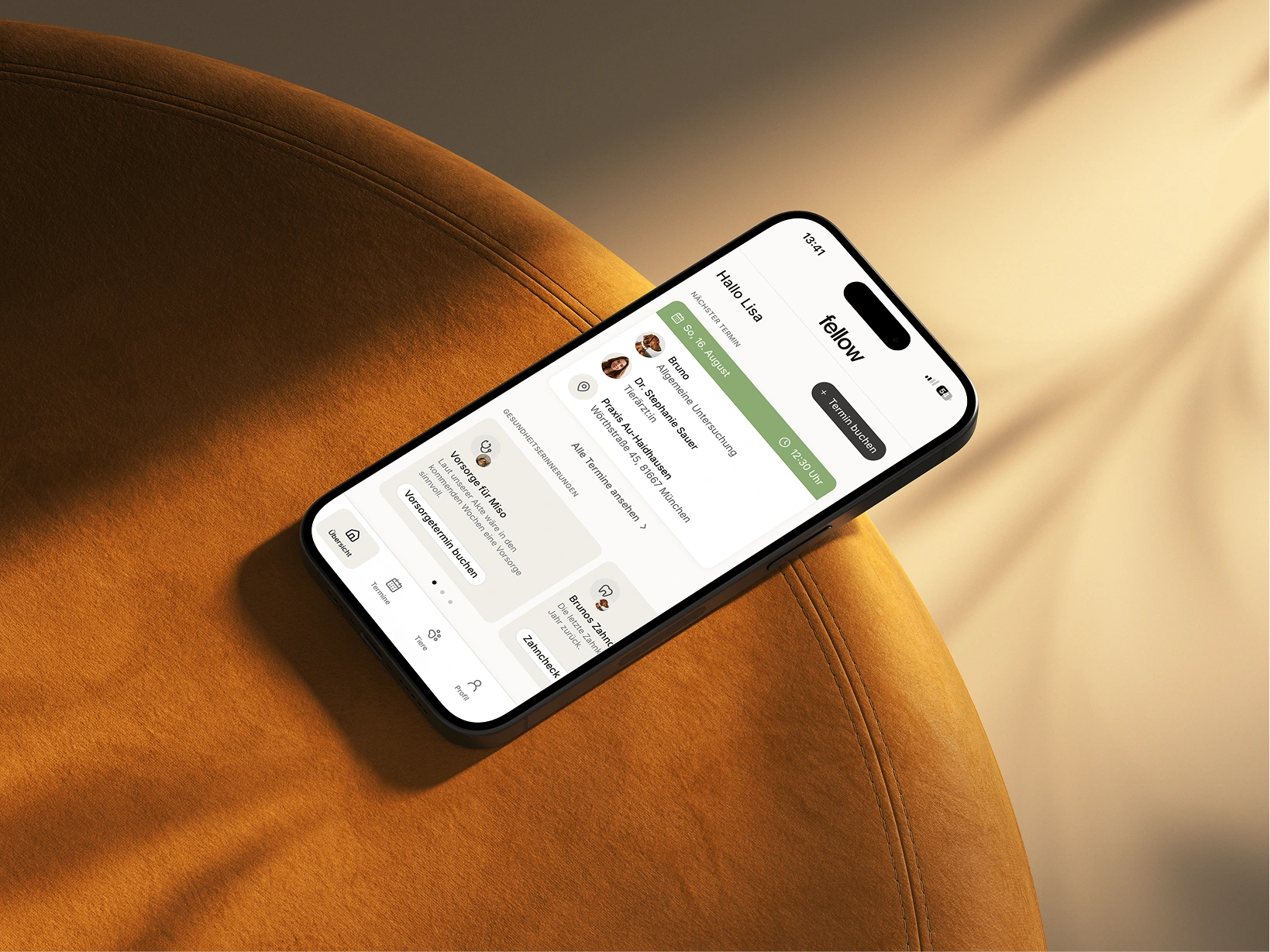 The patient portal on a phone: the next appointment at the top, the care reminders under it