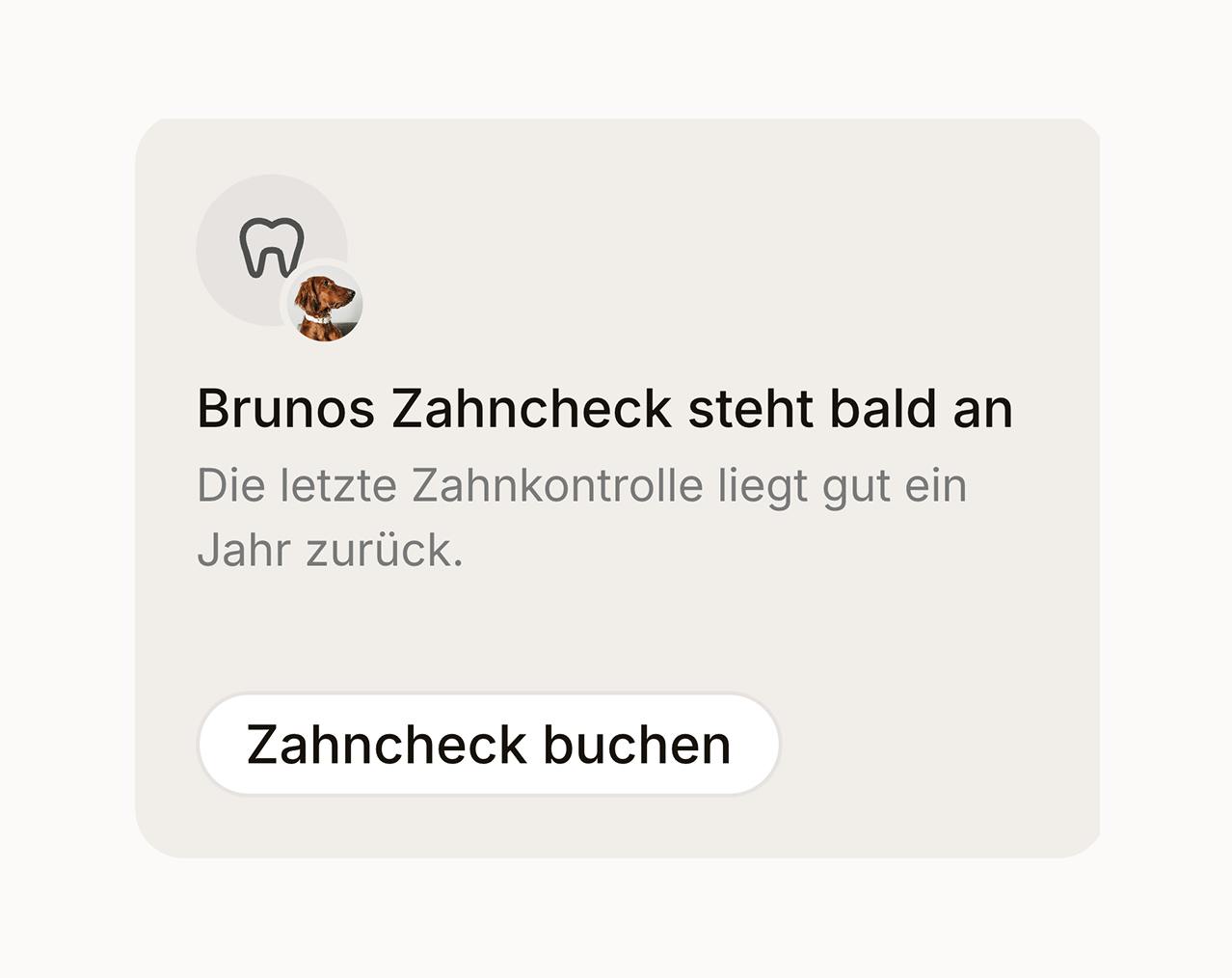A care reminder: Bruno's dental check is due, with a button to book it