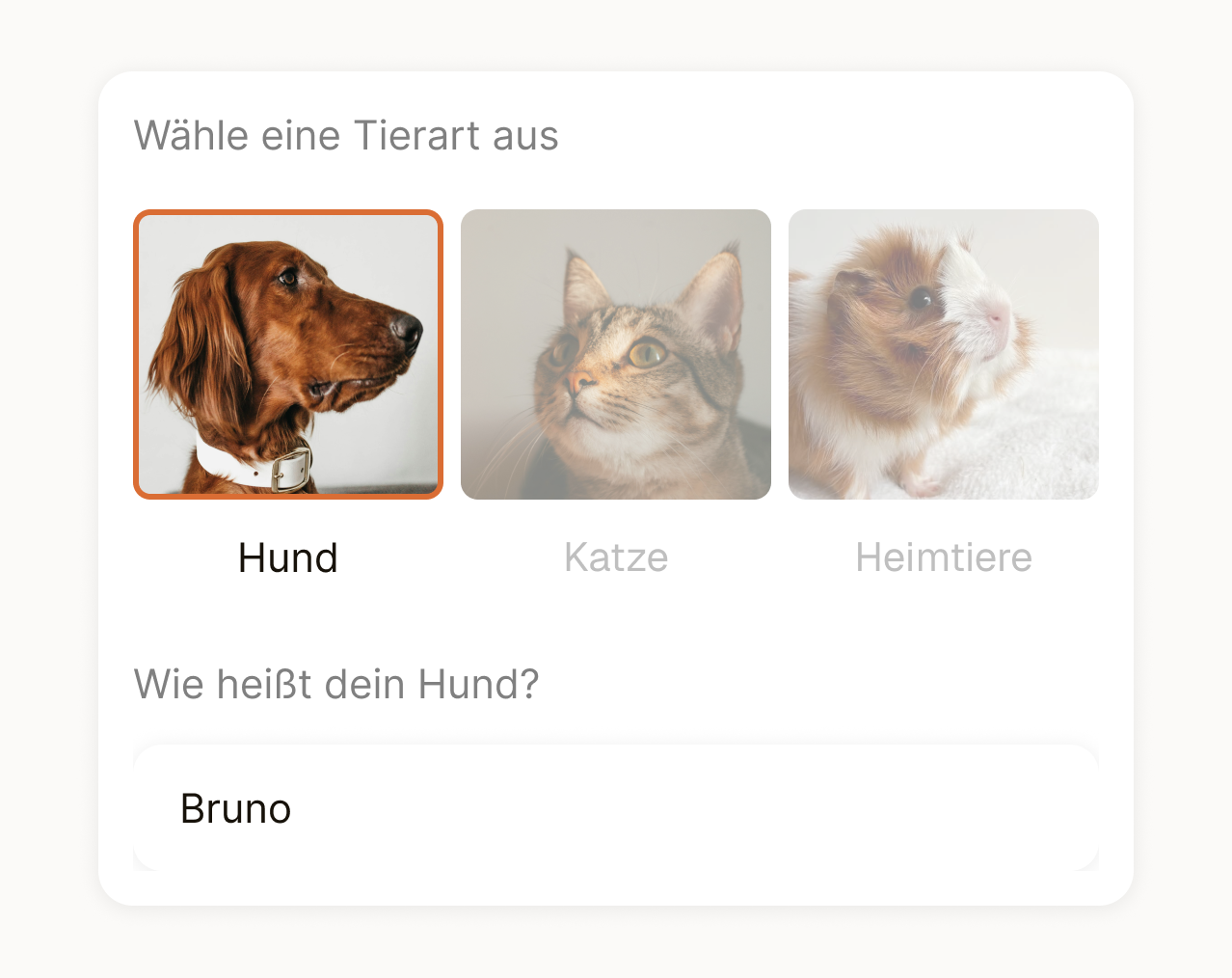 Choosing an animal: dog, cat or small pet, then its name