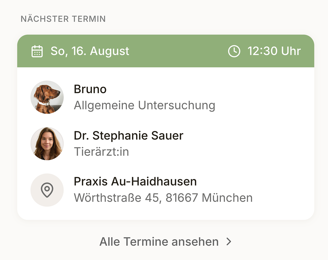 The next appointment, with the animal, the vet and the practice